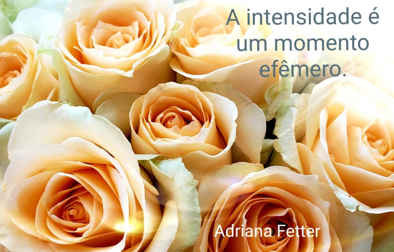 88c900d8-9876-4575-bba2-ca557b3230ce