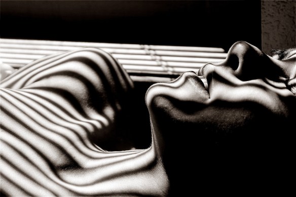 black-and-white-2600656_1920