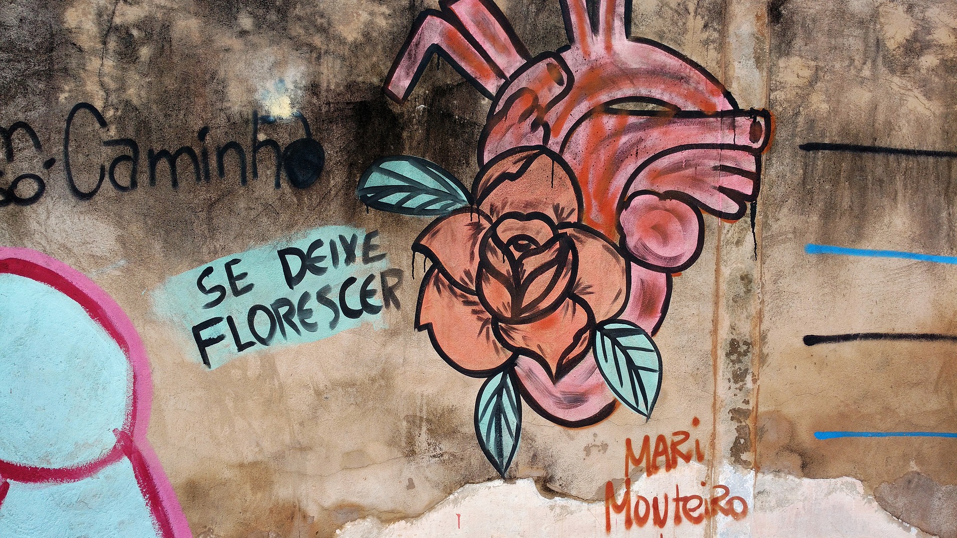 graphite-2660516_1920