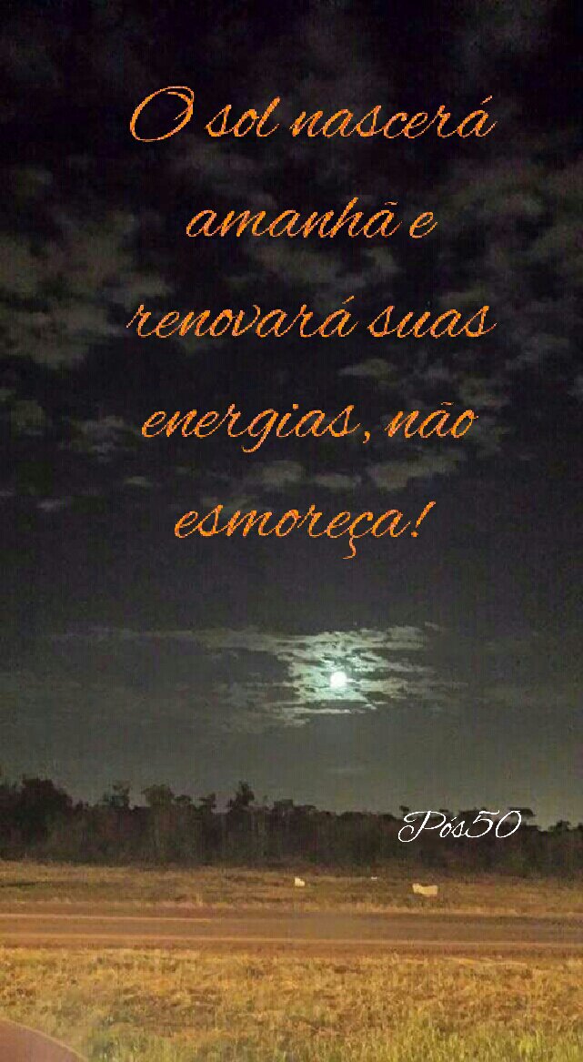 wp-image--896341817.